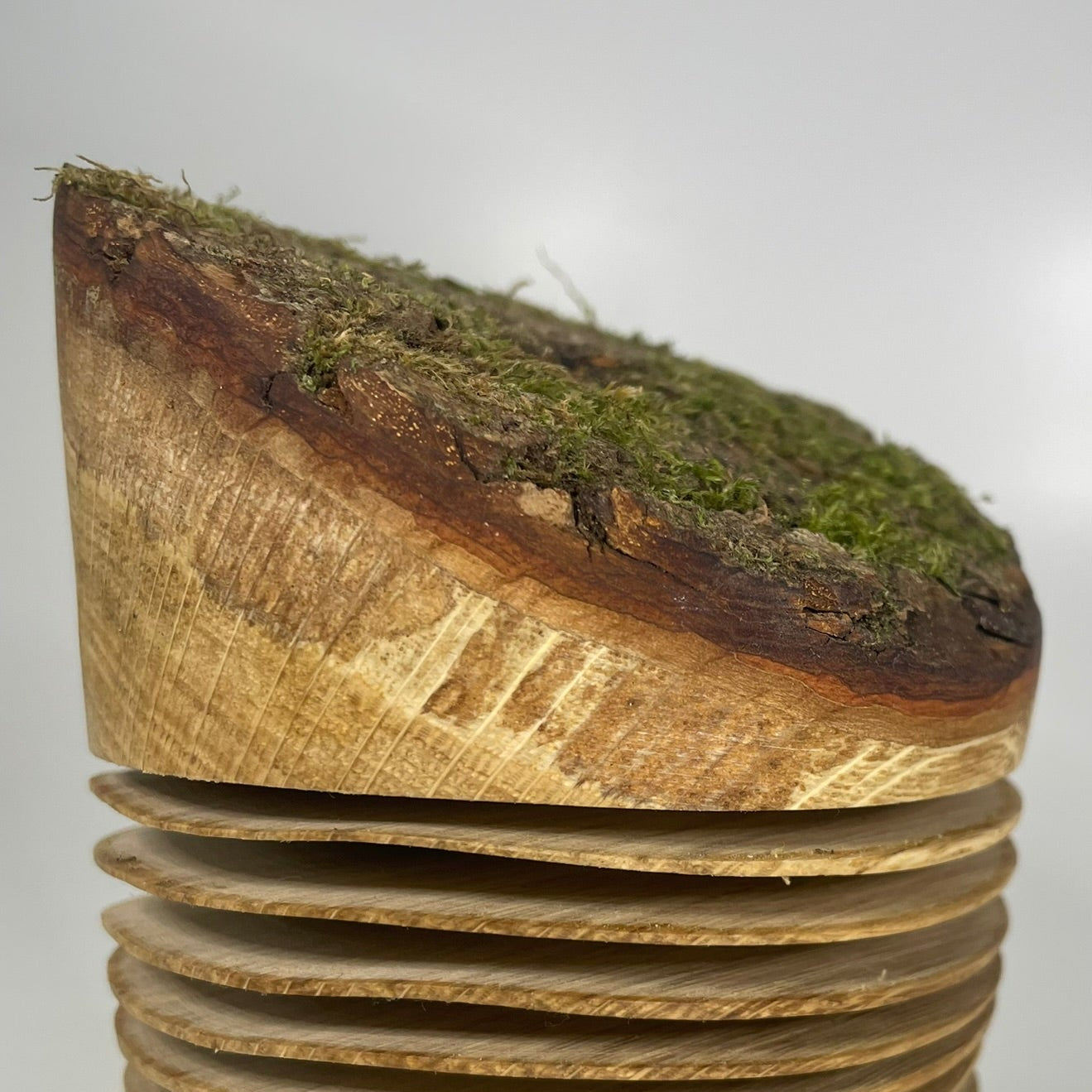Wavy Live Edge Oak Vase