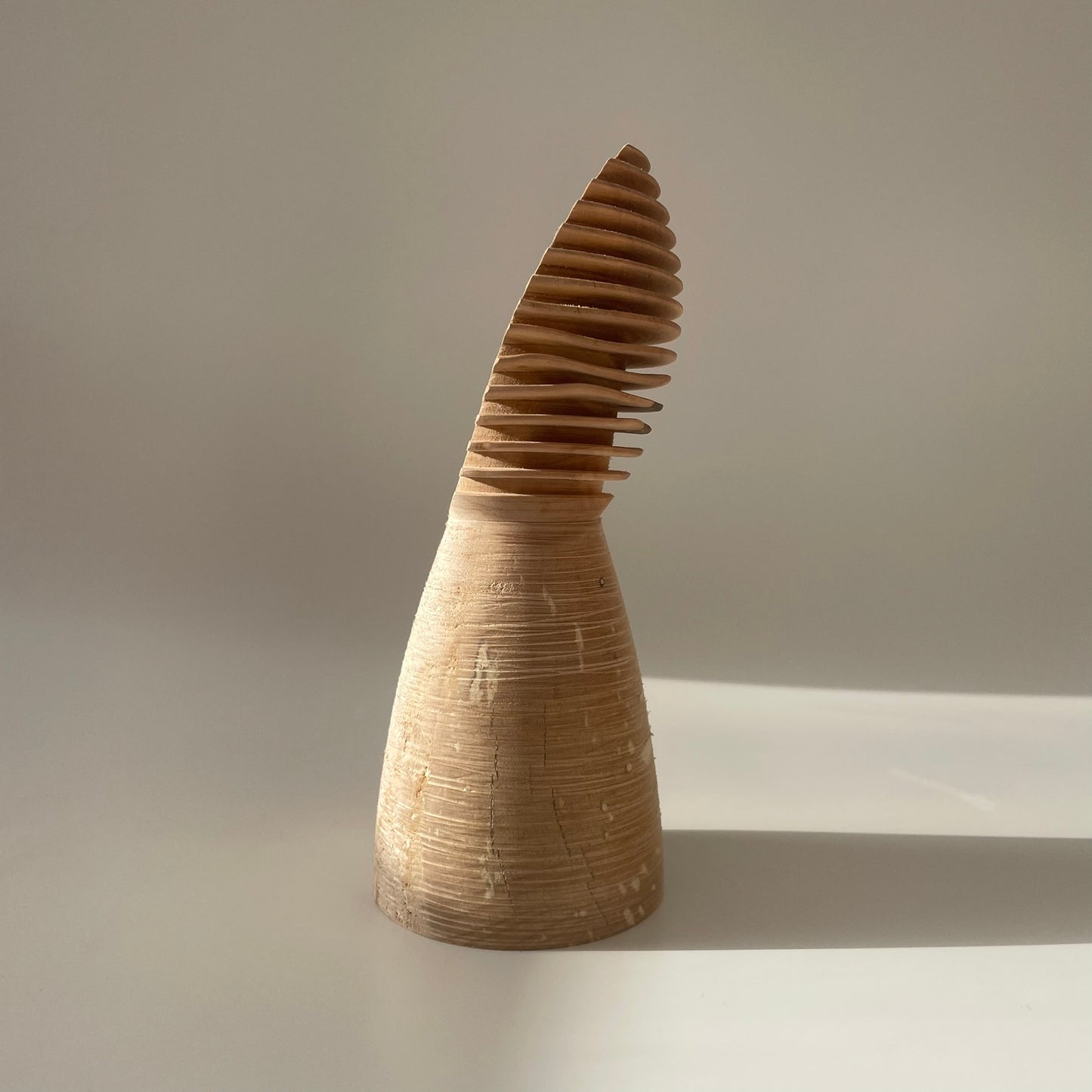 Silver Birch 'Burr' Vase 2