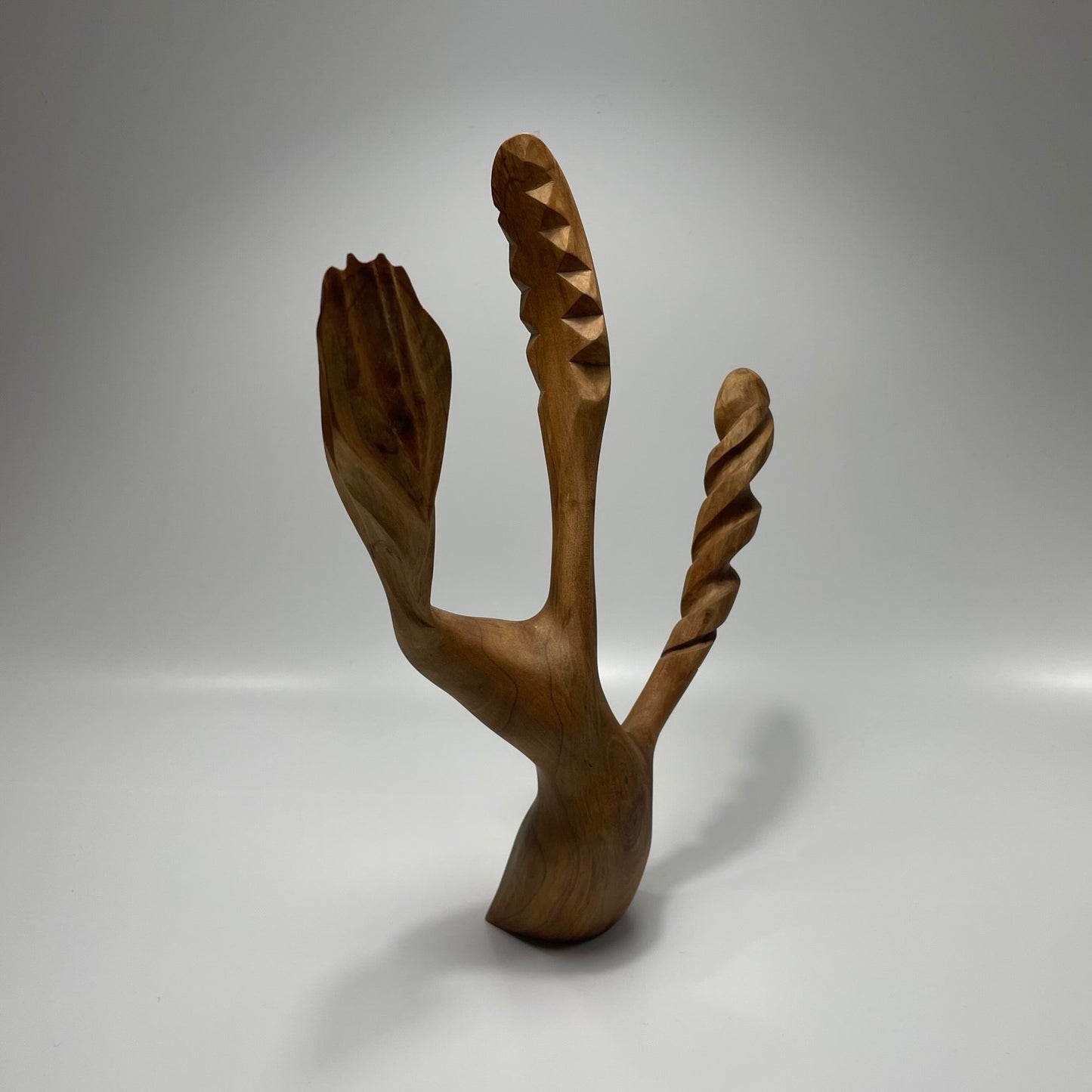 Inspired by David Nash