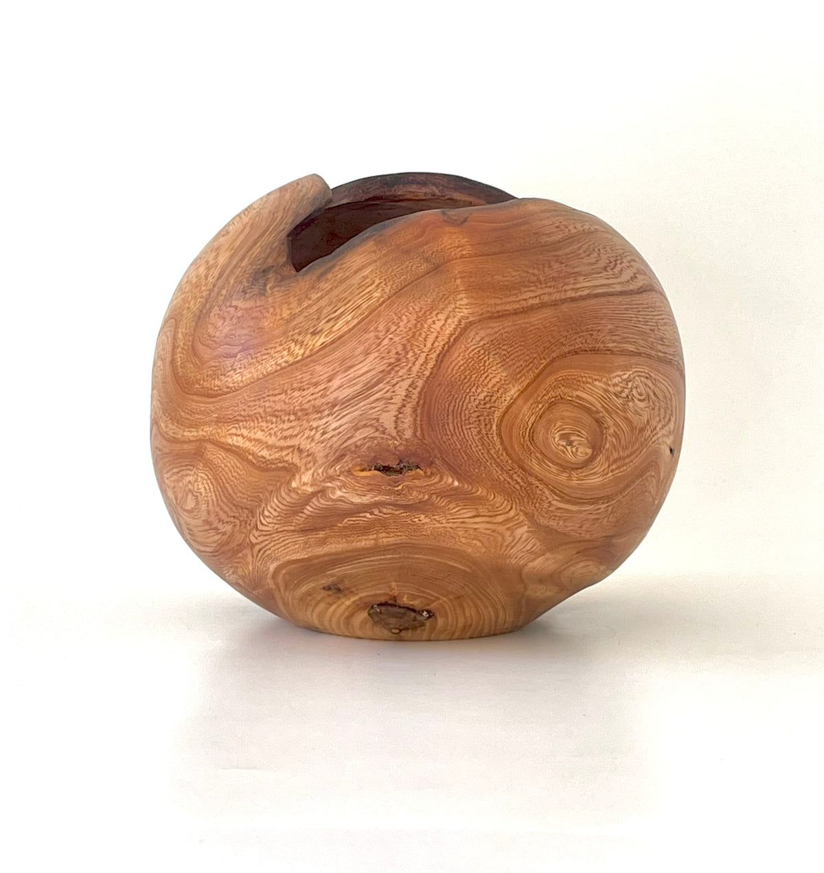 Elm Burr Hollow Form