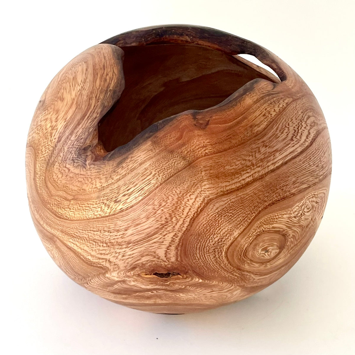 Elm Burr Hollow Form