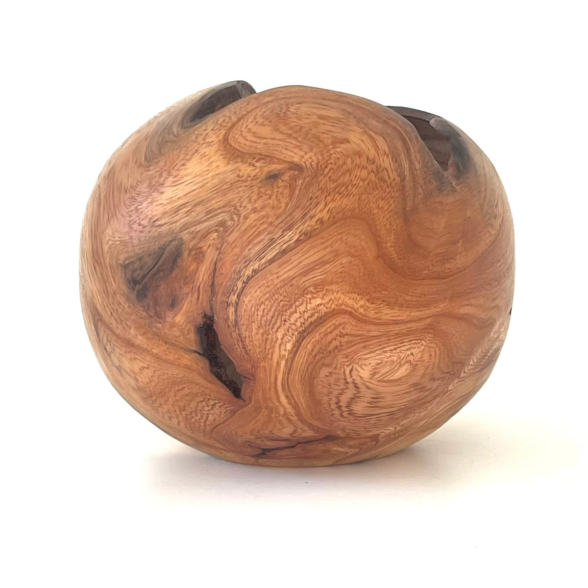 Elm Burr Hollow Form