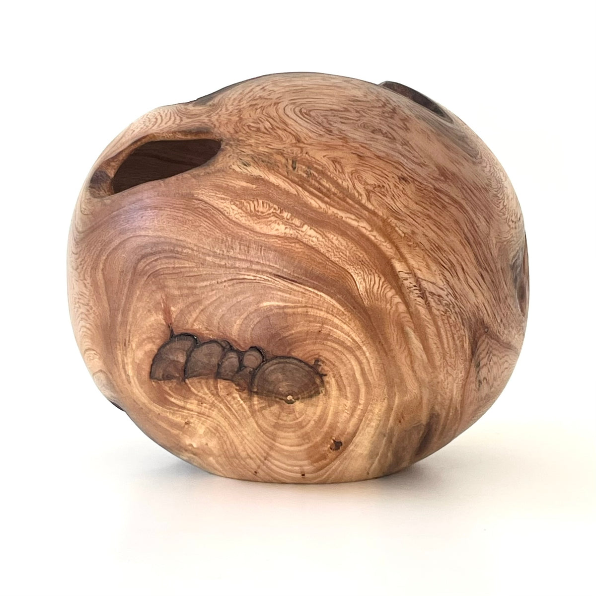 Elm Burr Hollow Form