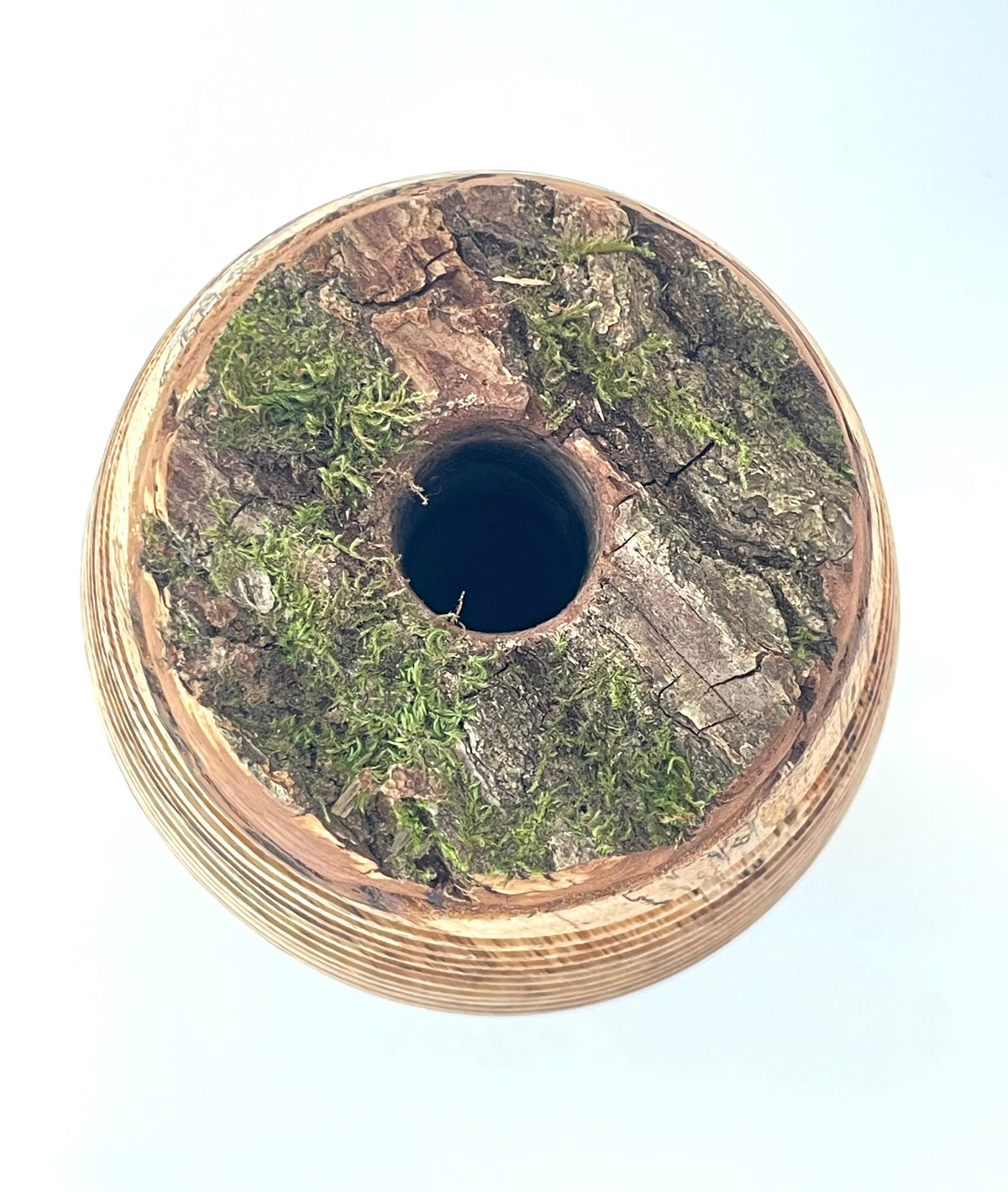 Oak Form Within a Form