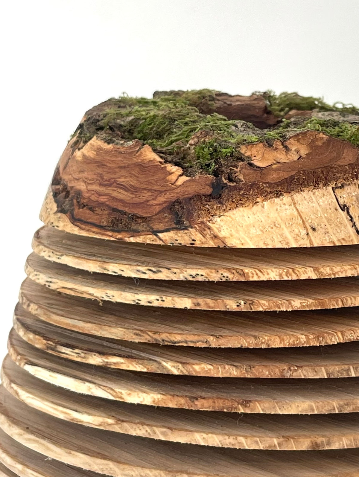 Oak Form Within a Form
