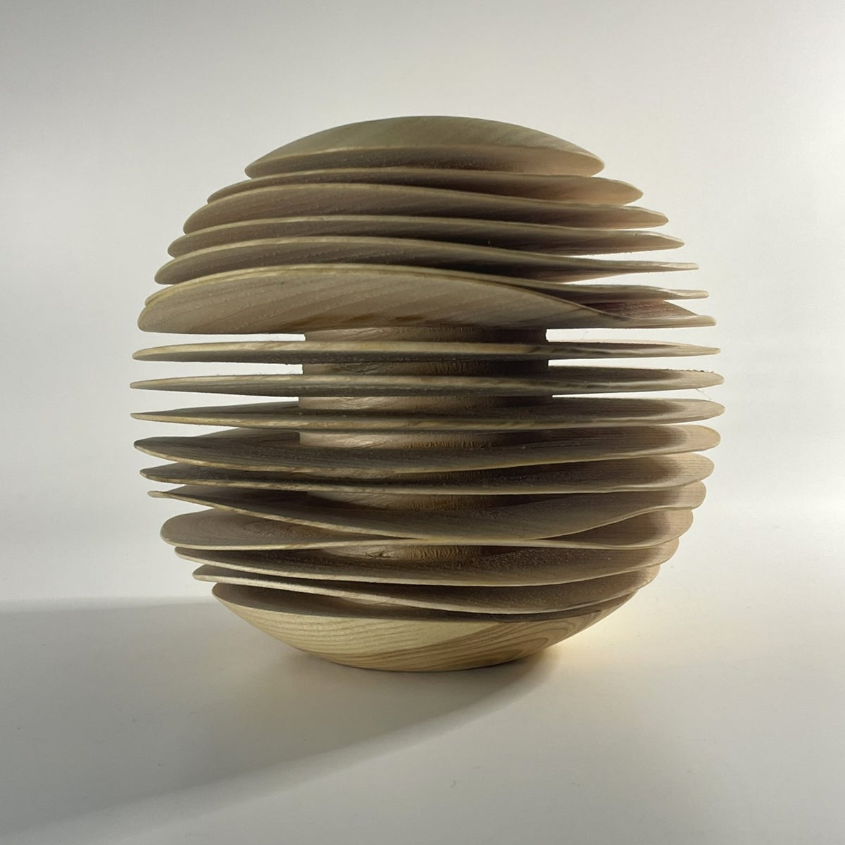 Ash Wavy Form 1
