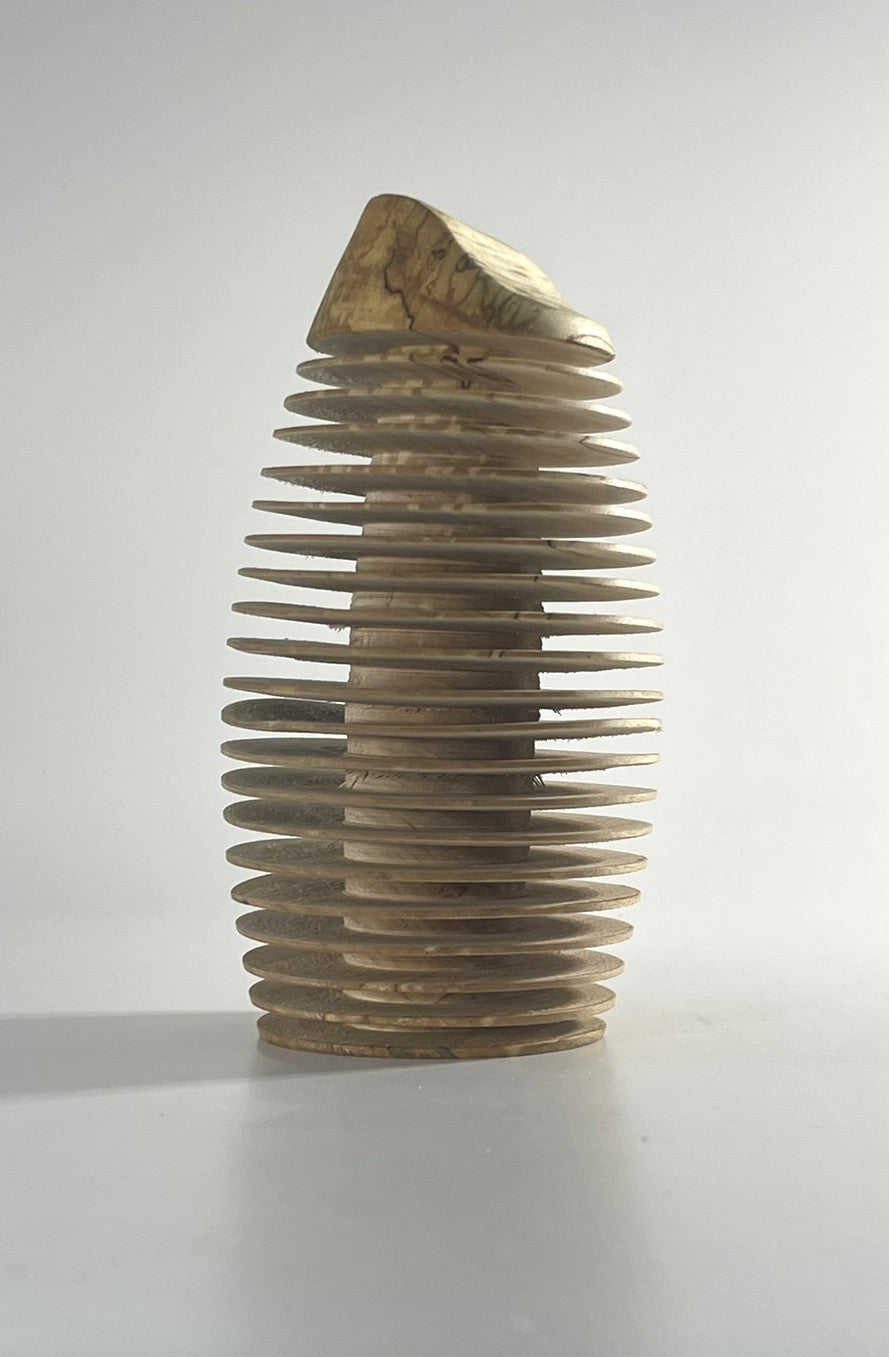 Spalted Silver Birch Form within a Form