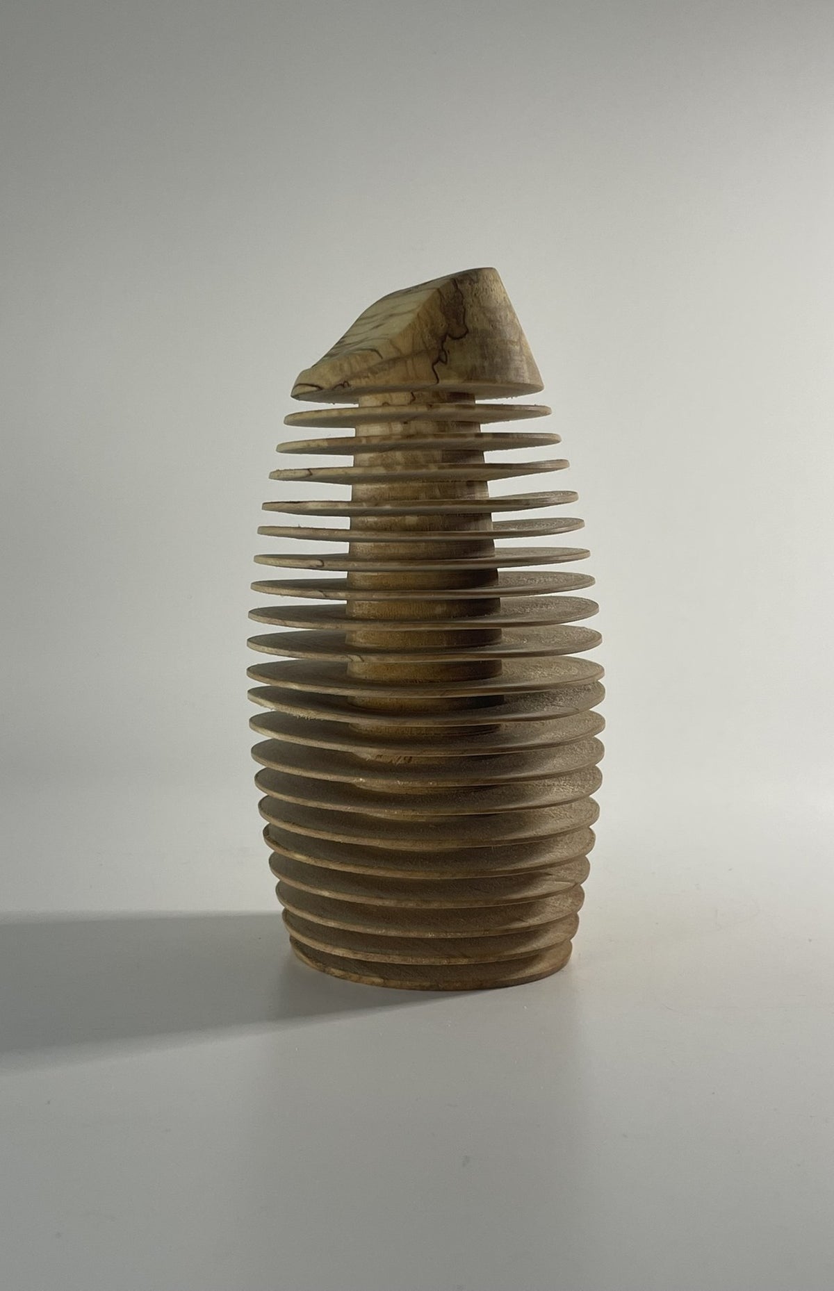 Spalted Silver Birch Form within a Form