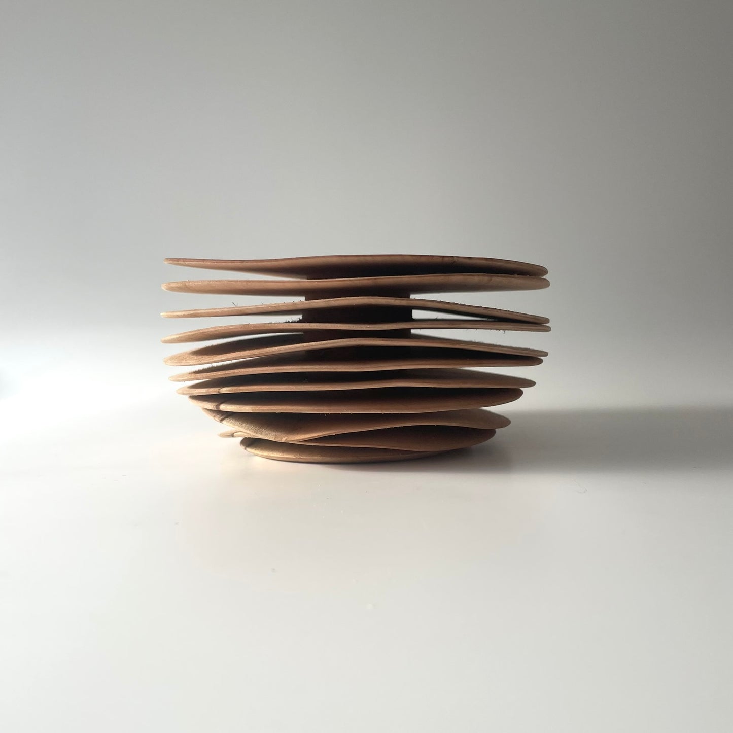 Wavy Alder Form 6