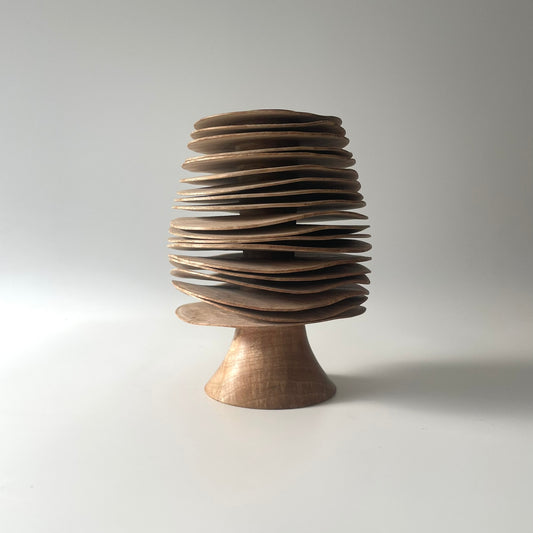 Wavy Ash Form 5